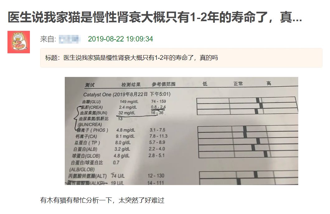 猫咪吃渴望和爱肯拿也差点肾衰！宠物医生教你怎么保养预防(图3)