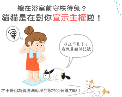 猫咪总在浴室外等你洗好澡，是因为好色吗？知道真相后我不禁笑了(图2)