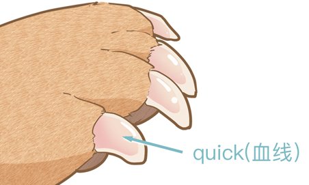 怎样助狗狗剪指甲 给狗狗剪指甲方式4