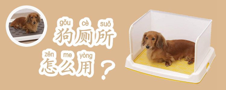 狗茅厕怎样用