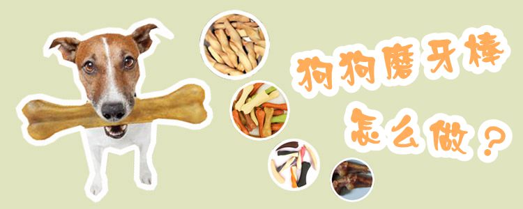 狗狗磨牙棒怎样干
