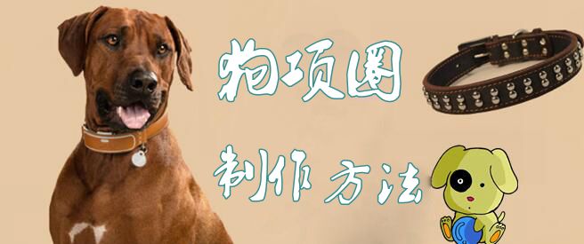 狗项链创造方式