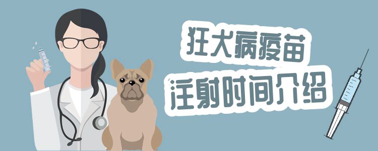 狂犬病疫苗打针时间引见