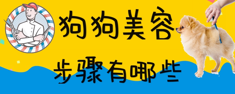 狗狗美容方法有哪些