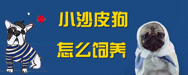 小沙皮狗怎样豢养