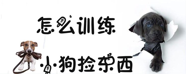 怎样练习小狗拣物品