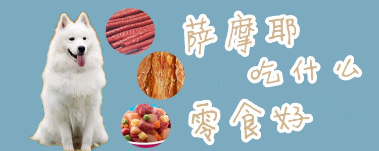 萨摩耶吃什么零食佳1