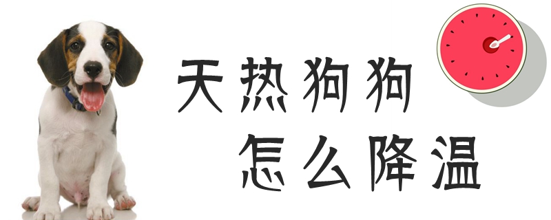 天热狗狗怎样落温