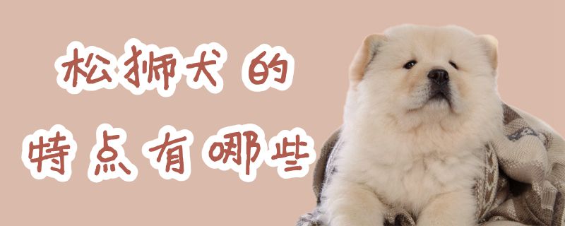 松狮犬的特性有哪些