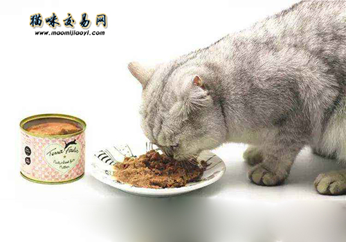 四个月的小猫不妨吃猫罐头吗？