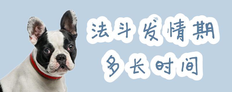 法斗发情期多万古间