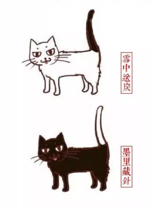 中国人最喜欢养的五种猫！你家主子入选了吗？(图4)