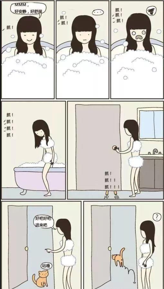 猫咪总在浴室外等你洗好澡，是因为好色吗？知道真相后我不禁笑了(图7)