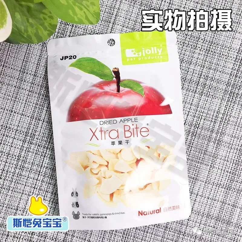 龙猫饲养手册入门(图13)