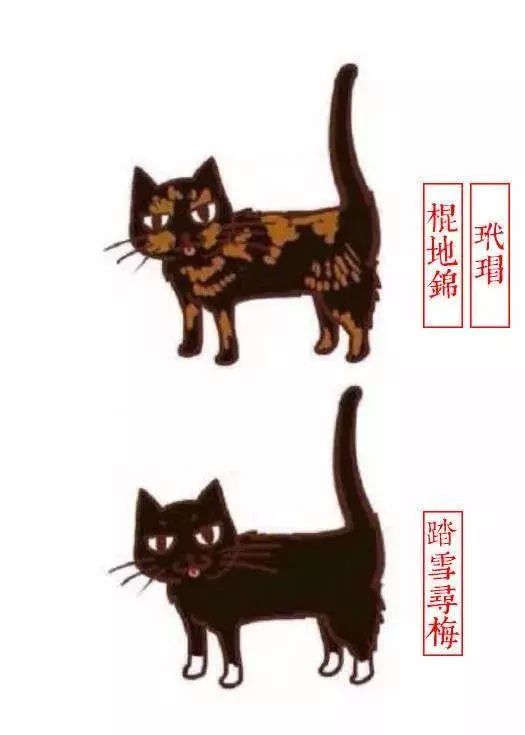 中国人最喜欢养的五种猫！你家主子入选了吗？(图6)