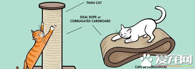猫抓家具怎样办  预防猫乱抓家具的办法引见