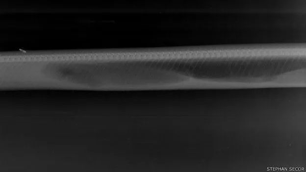 蟒蛇吞下鳄鱼几天能消化？生物学家用X光影像给出答案(图6)