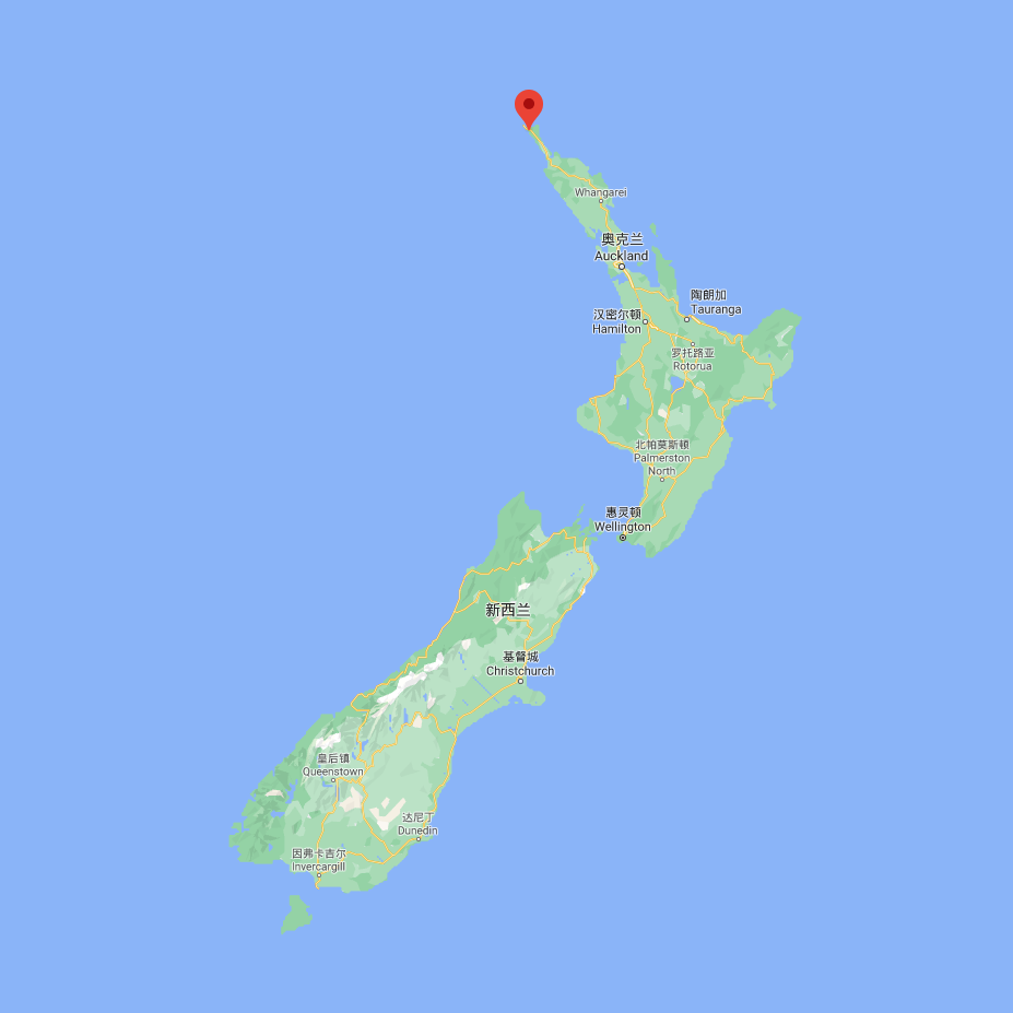 科学家将一种有着独特表现的新西兰绿守宫，从种群中分类定为新种！(图1)
