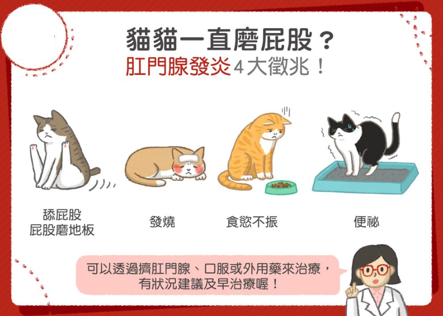 给猫「洗屁股」比洗澡更重要！猫做这沙雕动作时，要加倍注意(图4)