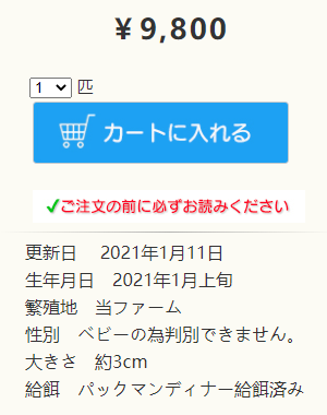 日本角蛙繁育大神的“梦幻天蓝”角蛙，售价堪称业界良心！(图28)