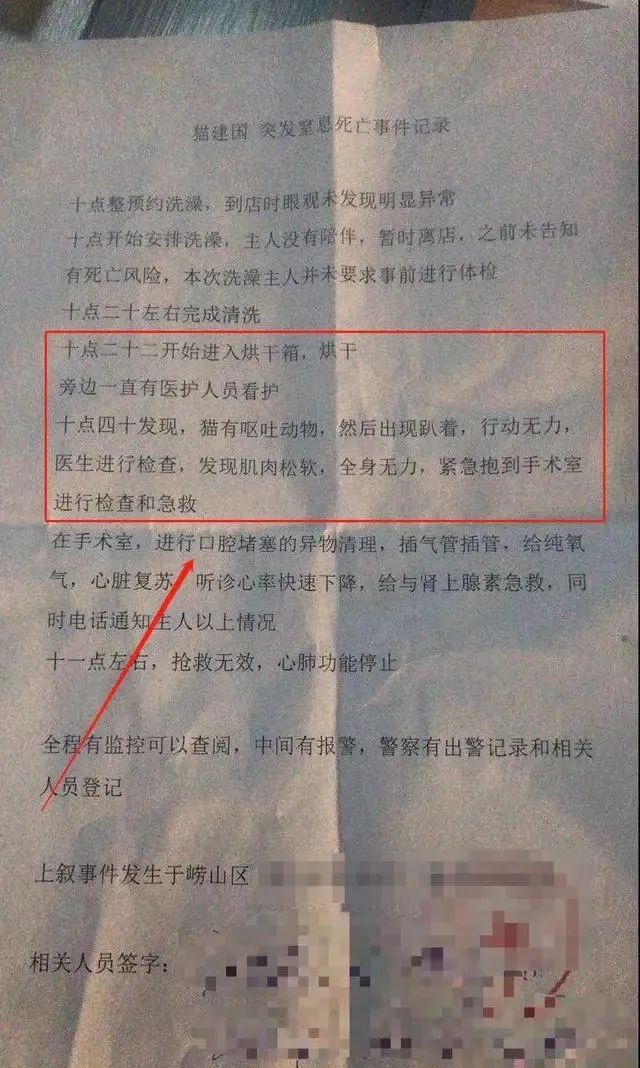 猫咪洗澡后这一步骤完全没必要！又有几只猫接连因此不幸死亡(图4)