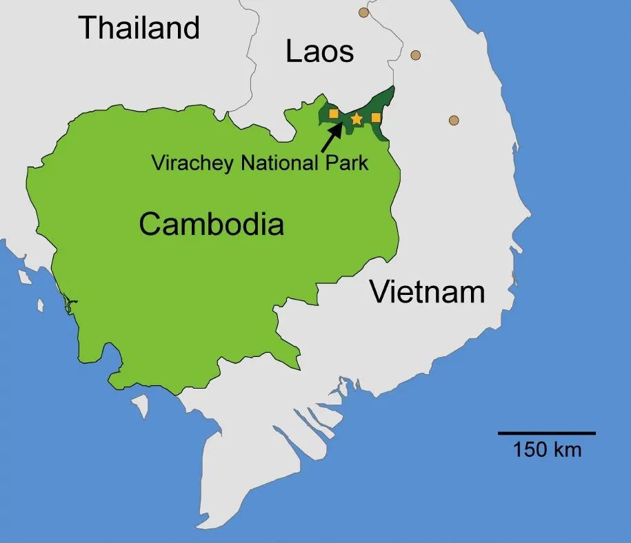 肌肉发达、长有“犬齿”，科学家们在柬埔寨的森林溪流中“发现”了(图6)