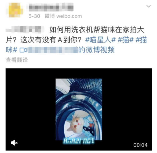 洗衣机又杀死了一只猫！养猫家庭洗衣服前，有件事不能偷懒(图14)