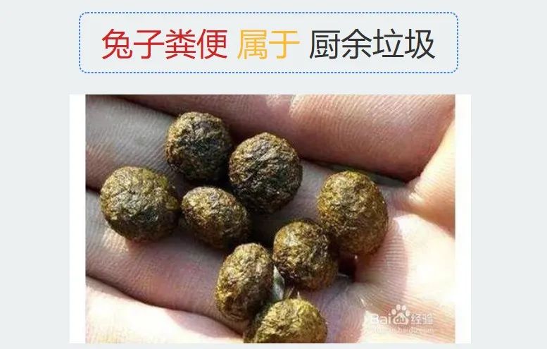 兔兔排泄物的处理方法(图6)