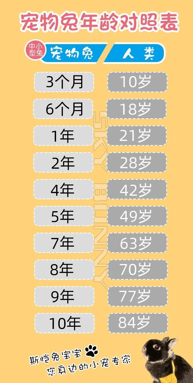 兔皇陛下今年贵庚 之 兔兔年龄对照表(图16)