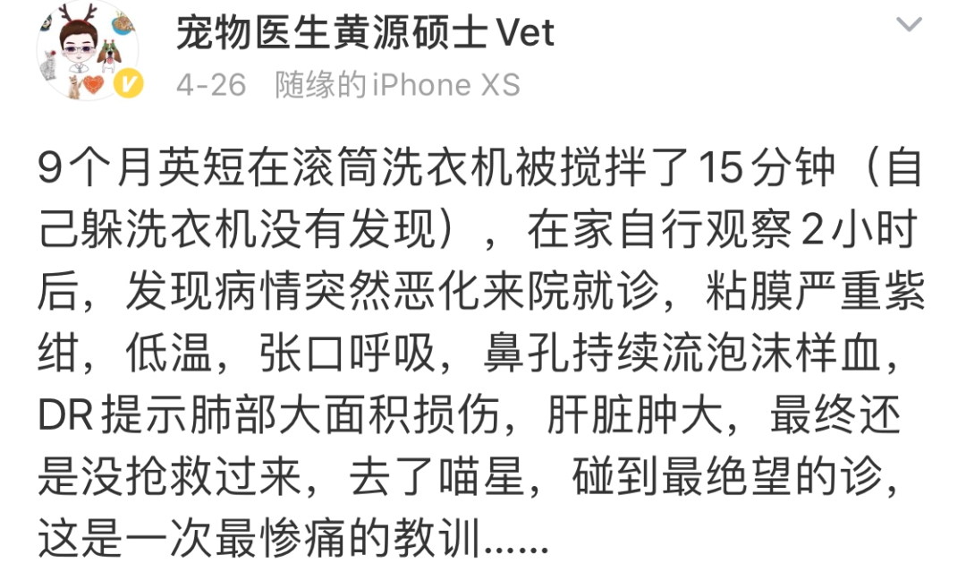 洗衣机又杀死了一只猫！养猫家庭洗衣服前，有件事不能偷懒(图1)