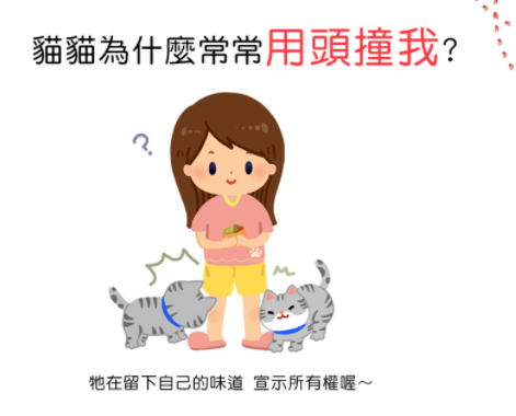 猫咪总在浴室外等你洗好澡，是因为好色吗？知道真相后我不禁笑了(图5)