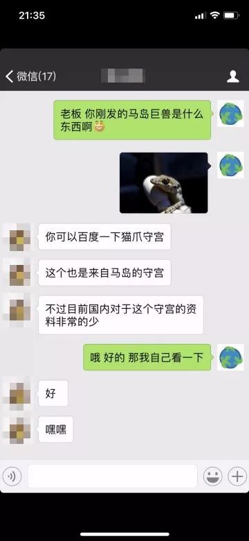 朋友圈突然出现的新奇物种马岛丝绒守宫，居然引出国内对于它的所有(图2)