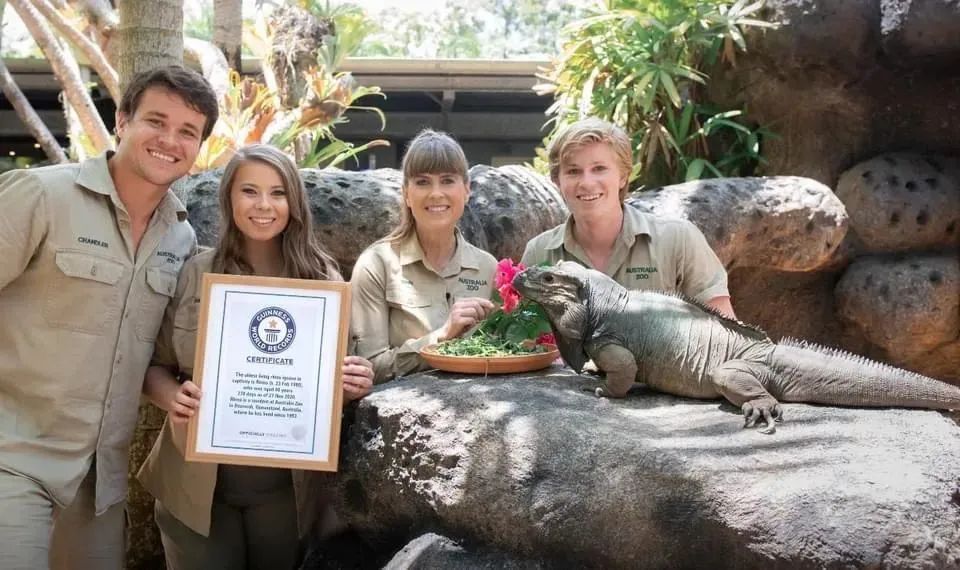 “80后”犀牛鬣蜥打破吉尼斯世界纪录，国内的动物园请加油！(图1)
