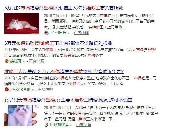 5万块买的布偶没几天就跳楼！养猫必须做好这4件事(图2)