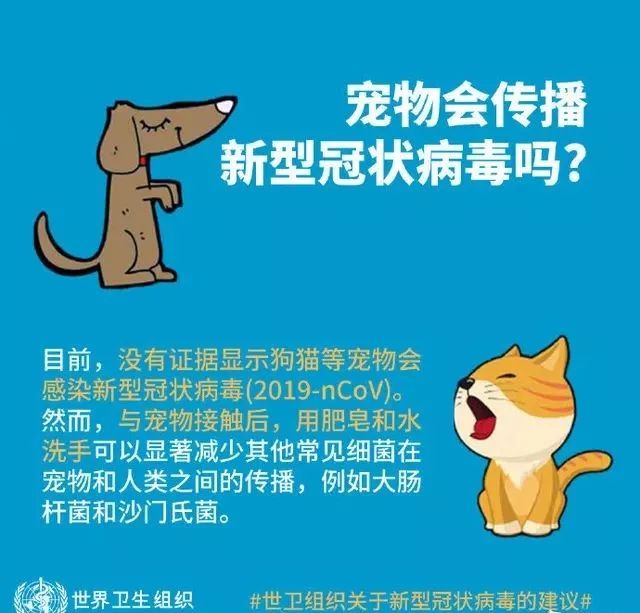 医科教授专业建议！疫情中如何健康地撸猫遛狗？(图3)