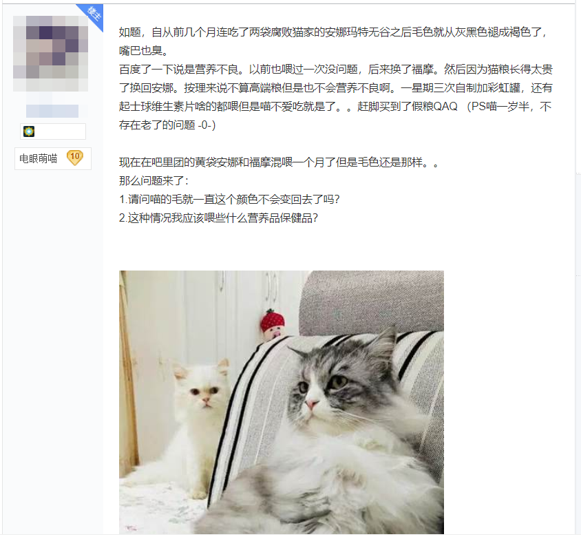 黑猫吃2元一斤渣粮后褪色成灰猫！保护主子猫毛健康需要这么做(图1)