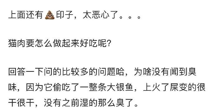 猫咪把米桶当猫砂盆，埋得太深几天后才发现！怎样教育做坏事的猫(图3)