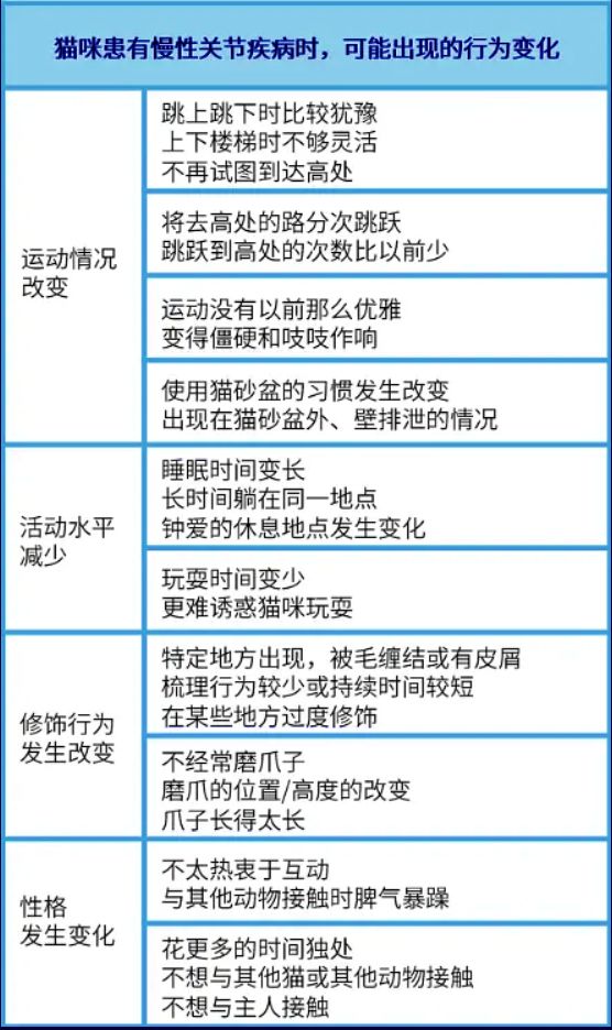 猫咪这种沙雕行为或是生病！80%猫都会经历，做好两件事预防(图7)