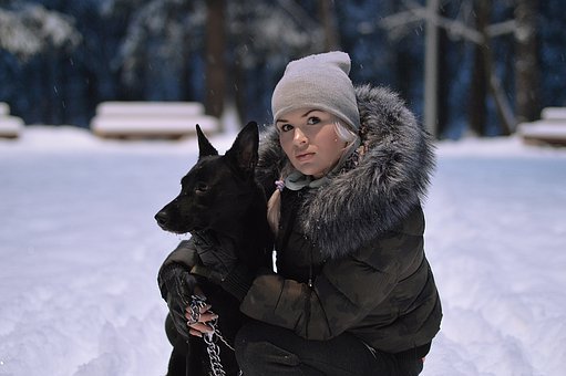 阿拉斯加雪橇犬能吃米饭吗？