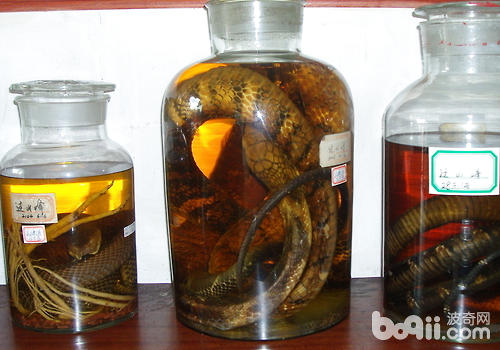 怎样创造蛇酒