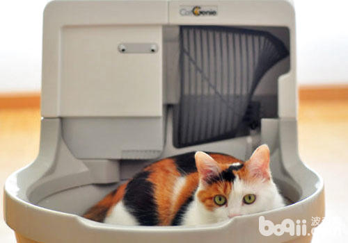 新式猫砂盆：猫咪的奢华马桶？