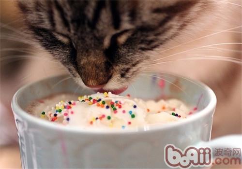 猫咪为什么分别没有出味讲呢？