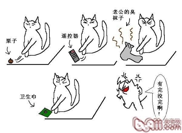 猫咪行动图解:养过猫的都懂 