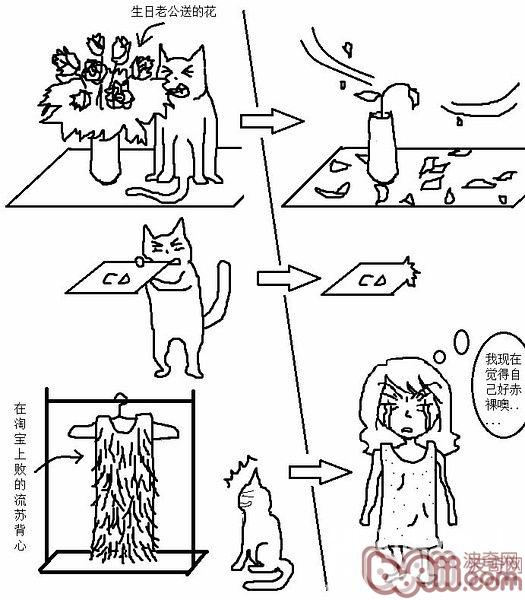 猫咪行动图解:养过猫的都懂 