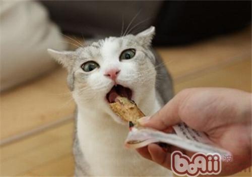 猫吃多了怎样办
