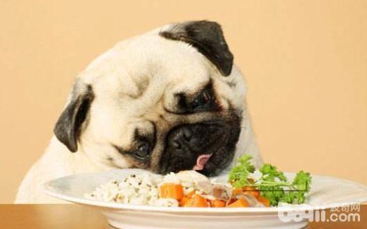 不行给狗狗吃的食物都有哪些？
