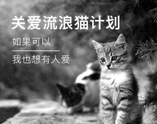 因为讨吃举措心爱到无法中断，这只猫末尾吃成25磅的肥纸……