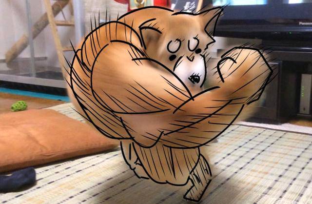 日本网友吐槽：想画条追着尾巴转圈圈的狗狗，截止画成了肌肉壮汉