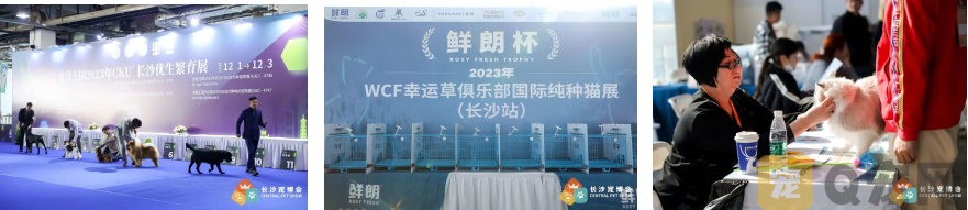 CPS·2024中部（长沙）宠物及水族产业博览会暨都市潮宠节邀请函(图8)