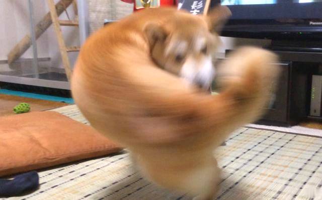 日本网友吐槽
